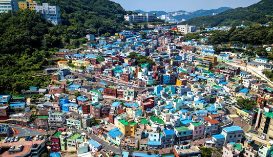 A Glimpse into Life in Busan Bustling with Energy (1 Day Tour) - Busan Tourism Center